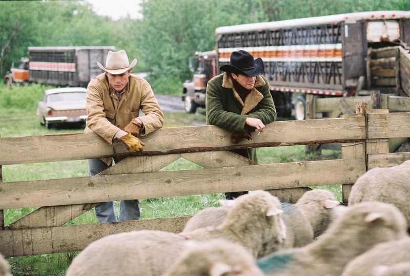 The Sheep Caused Problems | Alamy Stock Photo