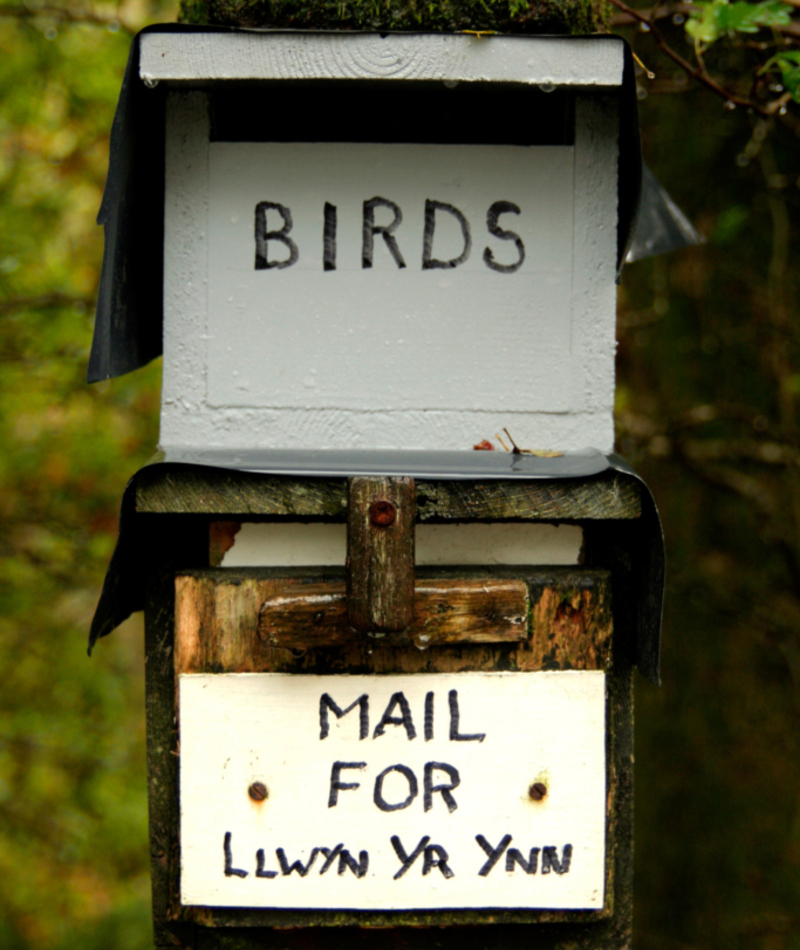 Who Are You Llyn Yr Ynn? | Alamy Stock Photo by Shepic 