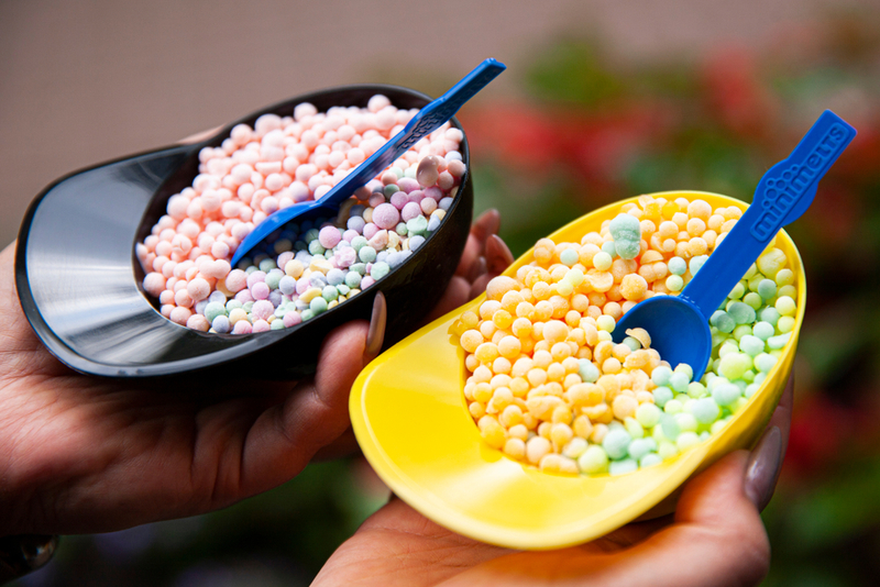 Dippin’ Dots | Shutterstock