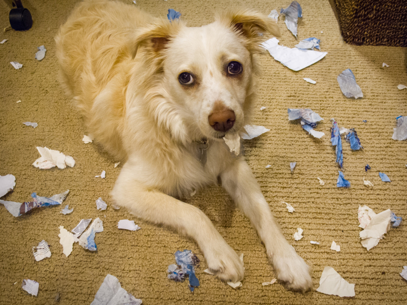 How Could You Hate That Face | Getty Images Photo by peterleabo