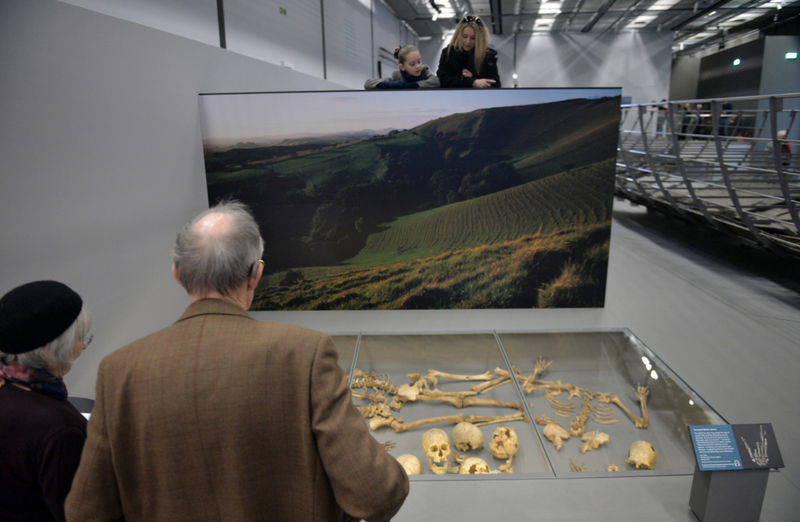 Dorset Vikings | Getty Images Photo by Anthony Devlin/PA Images