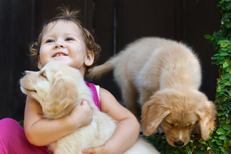 A Moment Among Friends | Shutterstock