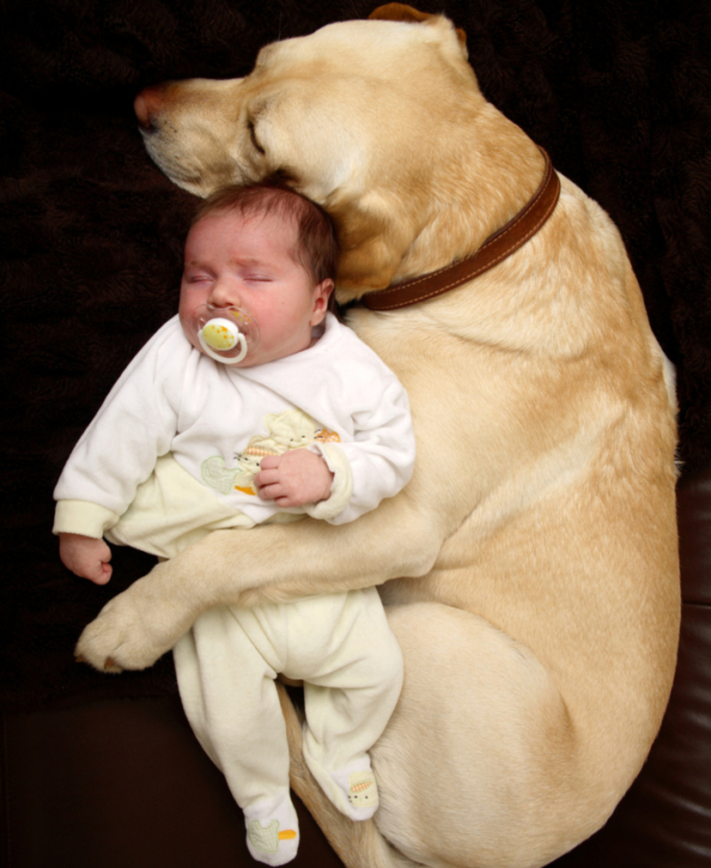 The Loving Protector | Getty Images Photo by Emma Innocenti