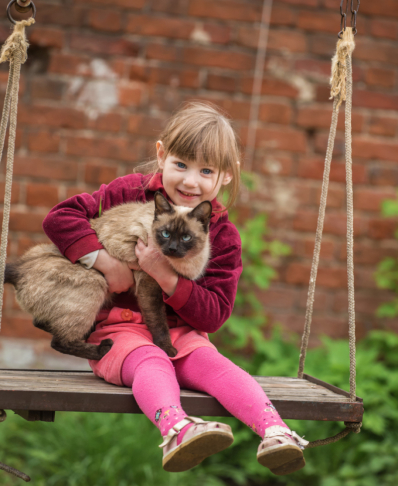 Swing Buddies | Shutterstock