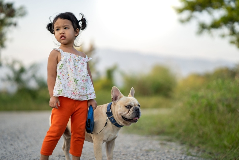 A Friendly Walk | Alamy Stock Photo