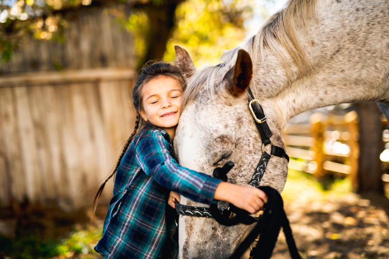 Just Horsing Around | Shutterstock