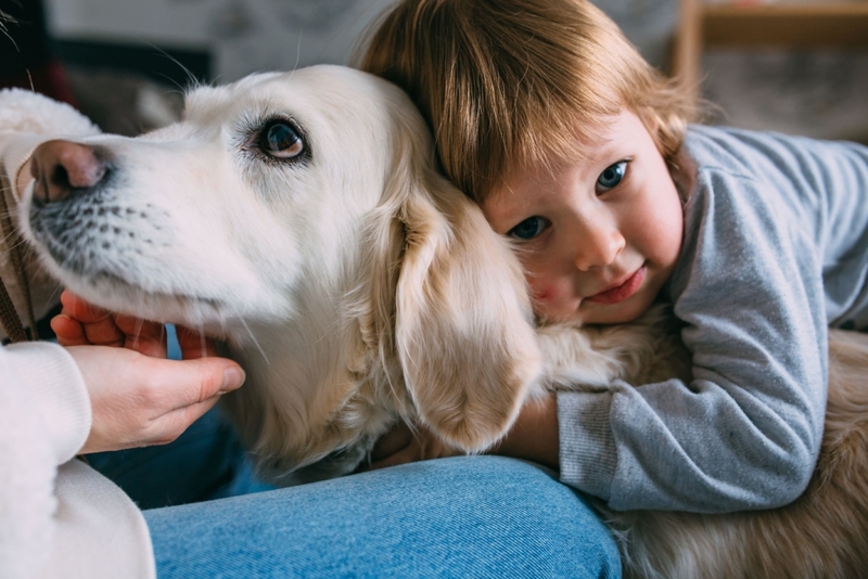 The Best Kind of Bed | Alamy Stock Photo