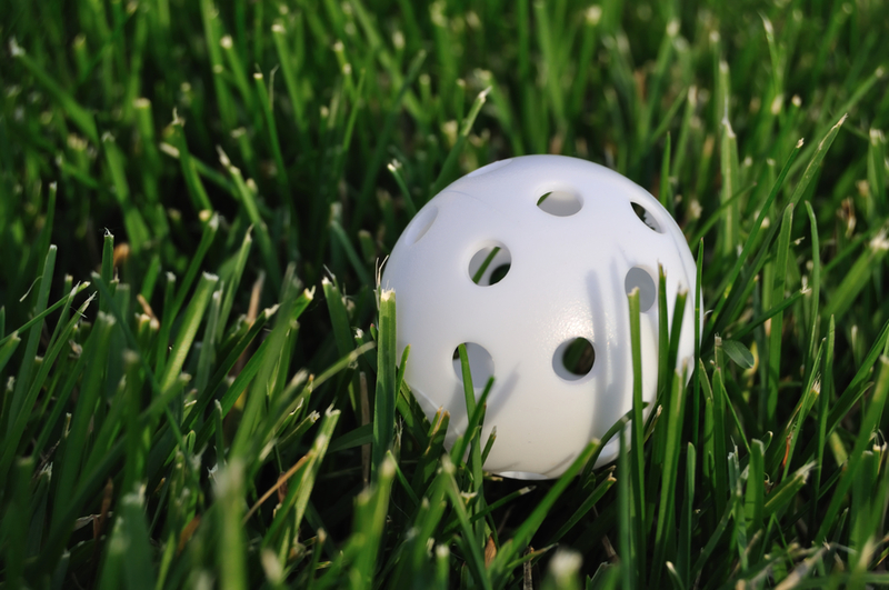 Made in the USA: Wiffle Balls | Mark Herreid/Shutterstock