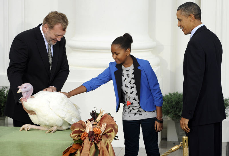 The Annual Turkey Pardon | Alamy Stock Photo by UPI/Roger L. Wollenberg