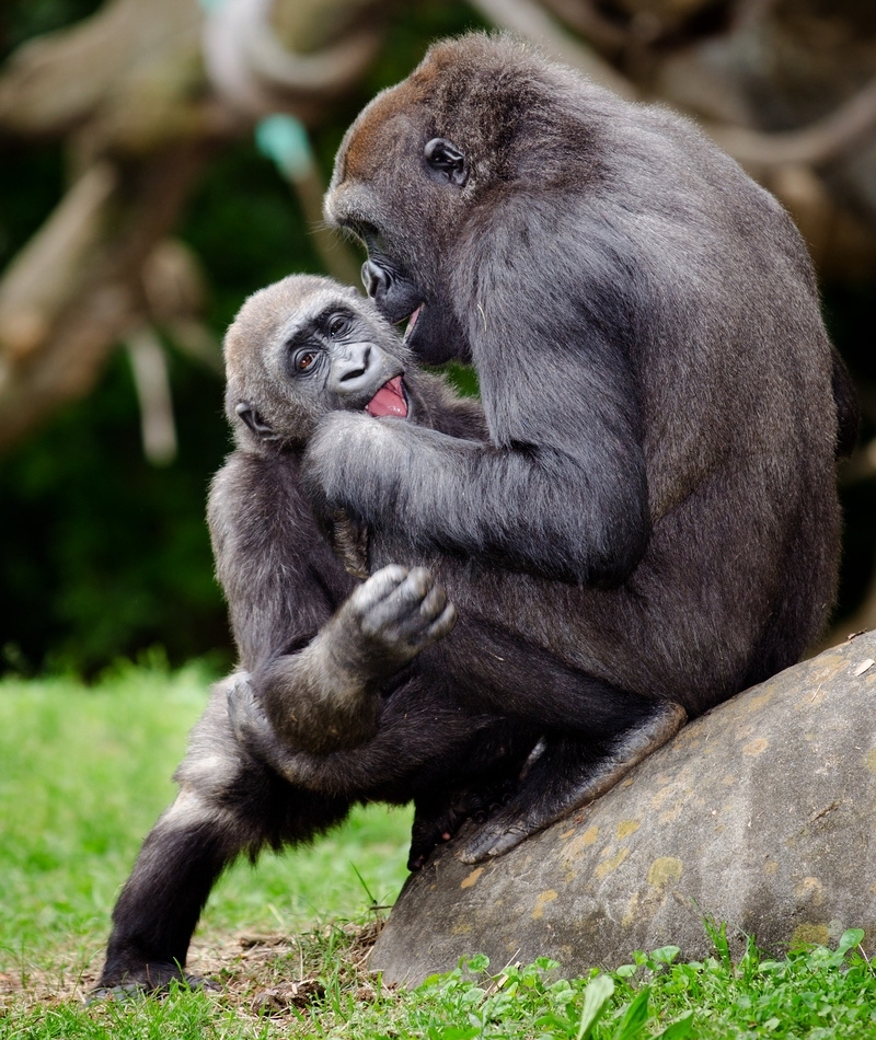 You Need to Clean Behind Your Ears | Rob Hainer/Shutterstock