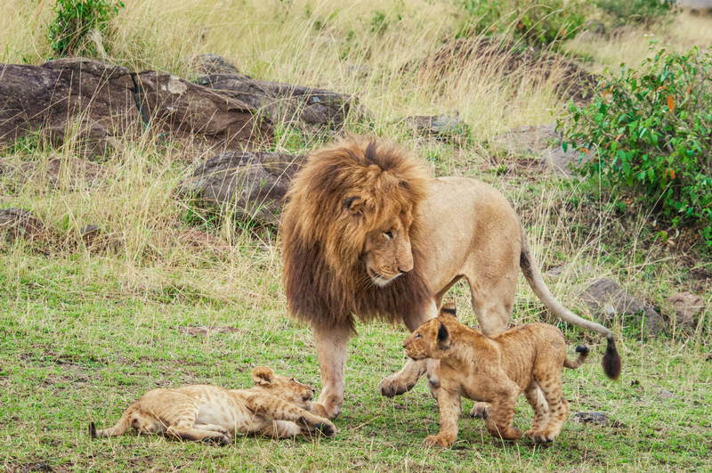 All Right You Two, Knock It Off | Alamy Stock Photo by Paulette Sinclair 