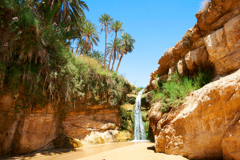 Tunisia | Alamy Stock Photo by Paul Williams/funkyfood London 