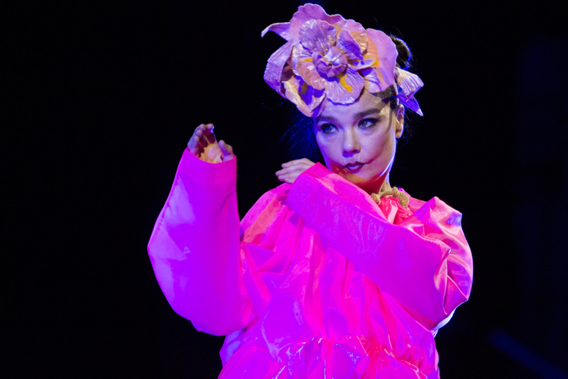 Björk | Getty Images Photo by Santiago Felipe