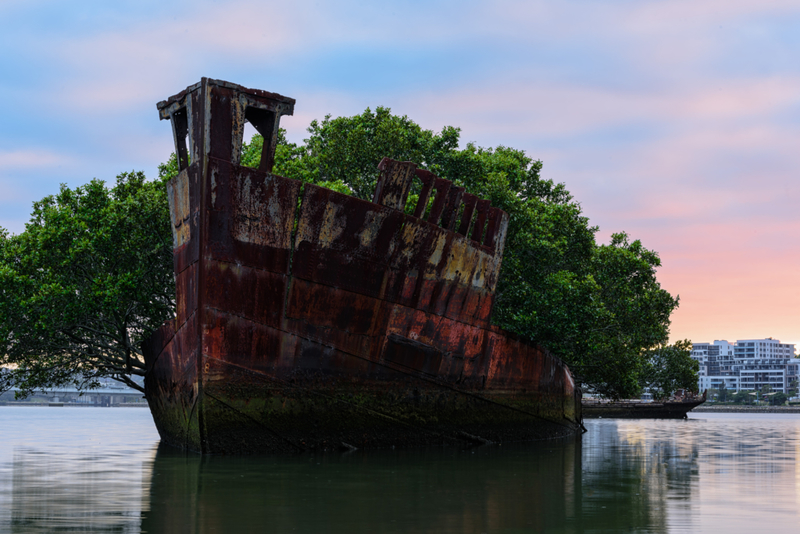 102-Year-Old Floating Forest | Getty Images Photo by Chumphoo