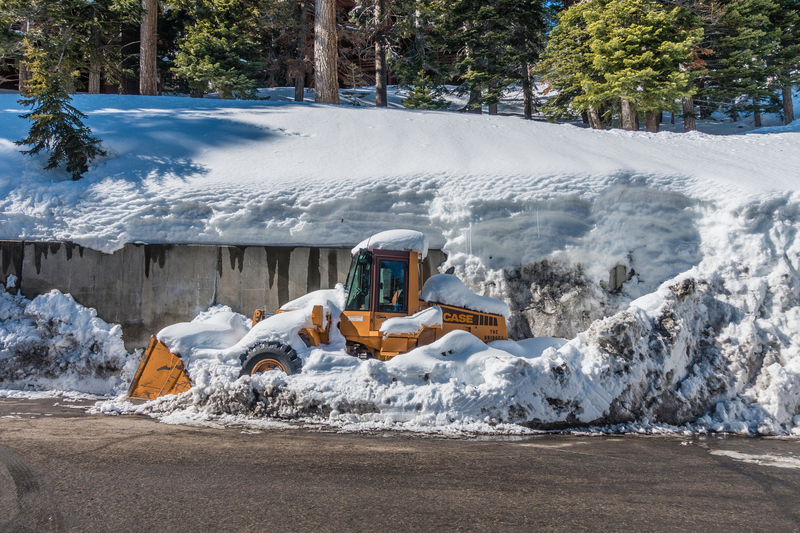 We Believe This Is Called Irony | Alamy Stock Photo by David Litschel