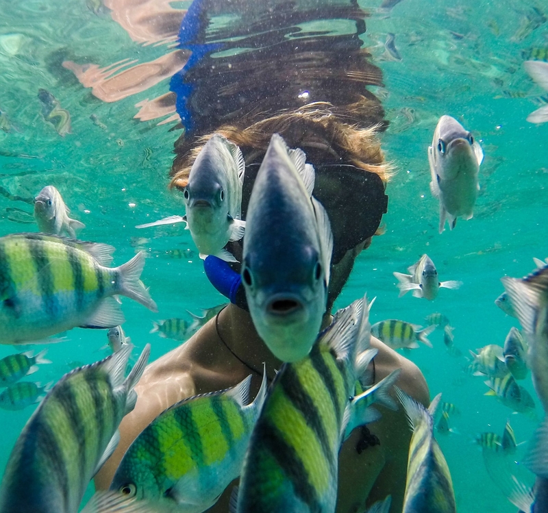 Underwater Exploration | Fede Maiz Hohlberg/Solent News/Shutterstock Editorial