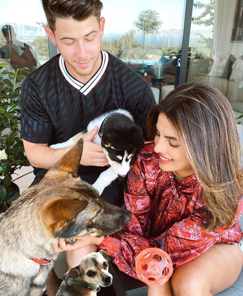 Priyanka Chopra and Nick Jonas: Panda | Instagram/@priyankachopra