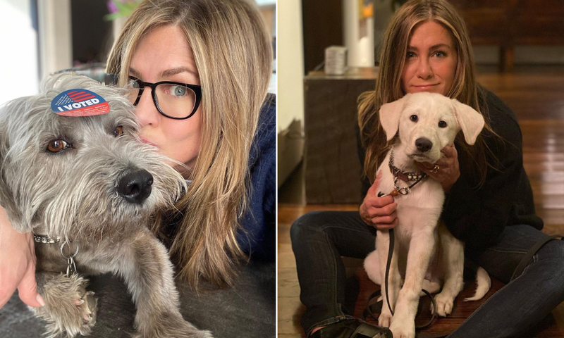 Jennifer Aniston & Clyde And Lord Chesterfield | Instagram/@jenniferaniston