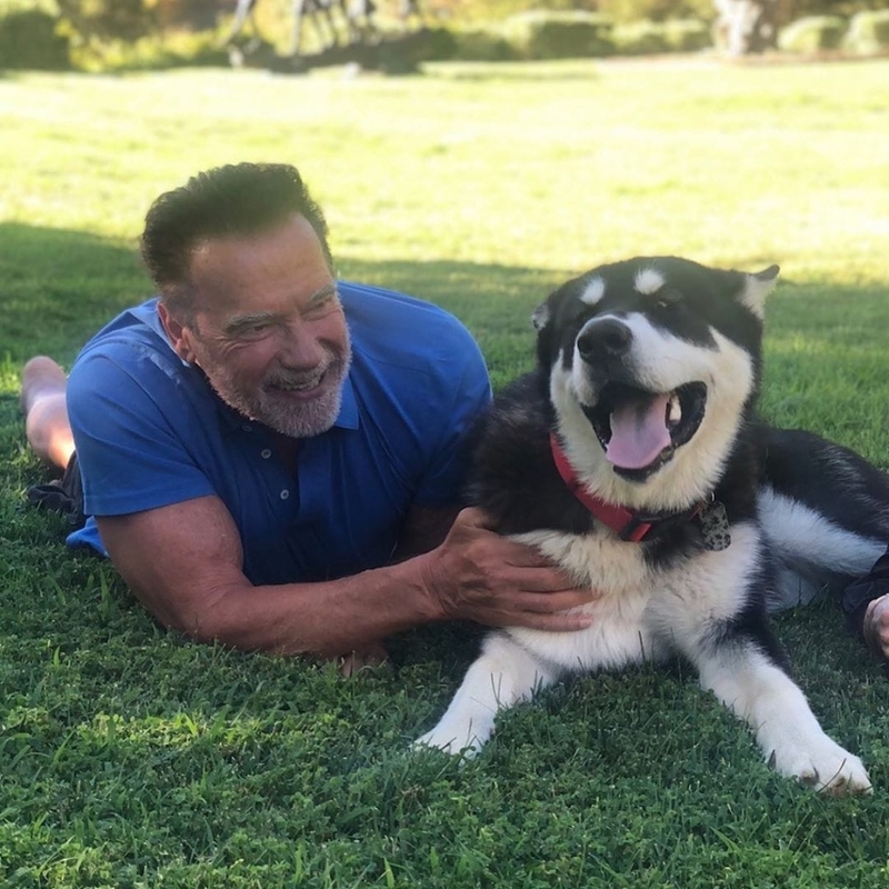 Arnold Schwarzenegger: Dutch | Instagram/@schwarzenegger