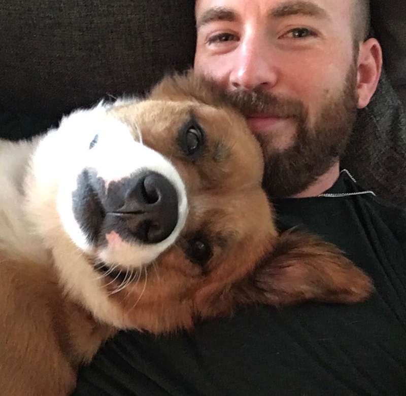 Chris Evans: Dodger | Instagram/@chrisevans