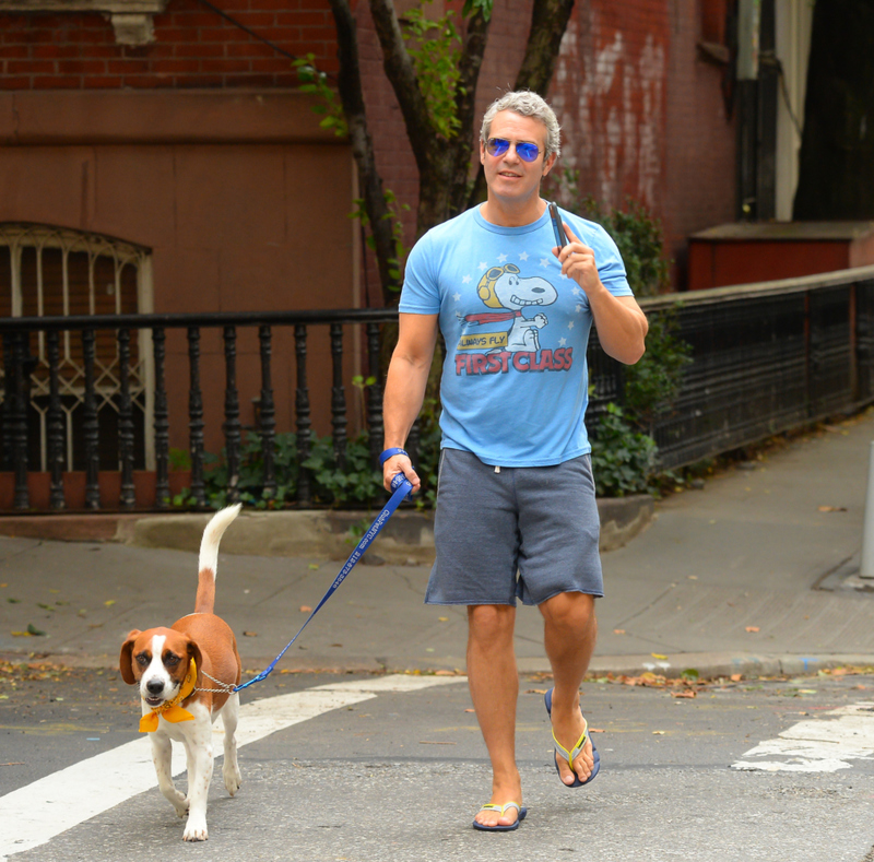 Andy Cohen: Wacha | Getty Images Photo by Raymond Hall/GC Images