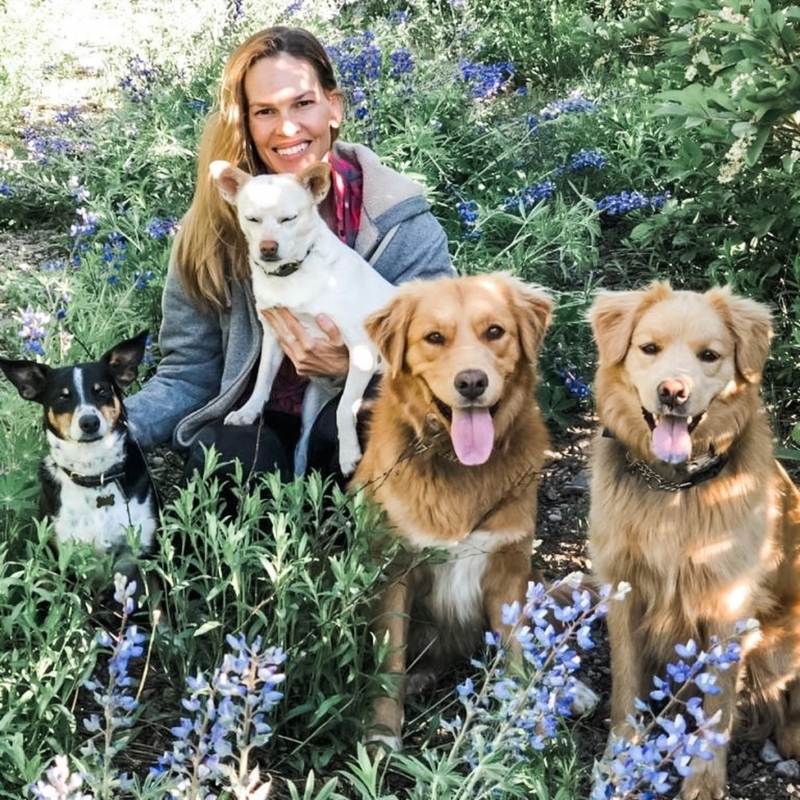 Hilary Swank: Lucky, Karoo, Rumi, and Kai | Instagram/@hilaryswank