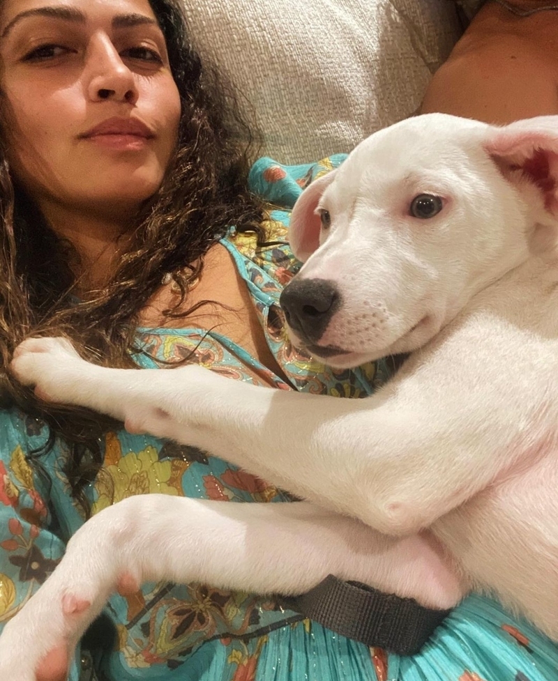 Camila Alves: Cute New White Puppy | Instagram/@camilamcconaughey