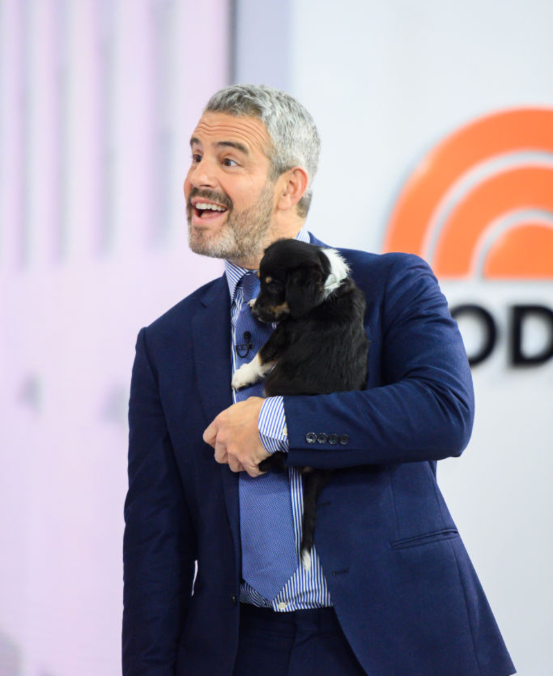 Andy Cohen: Wacha | Getty Images Photo by Nathan Congleton/NBC