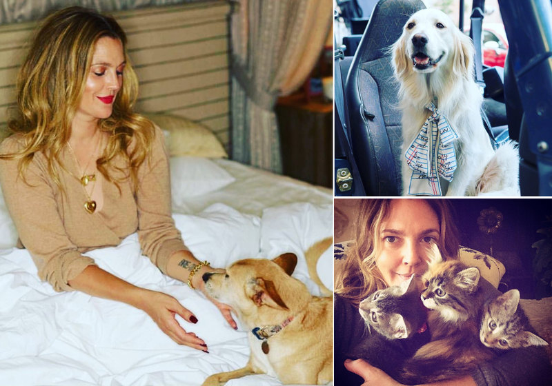 Drew Barrymore: Douglas, Lucky, Peach, and Many More | Instagram/@drewbarrymore