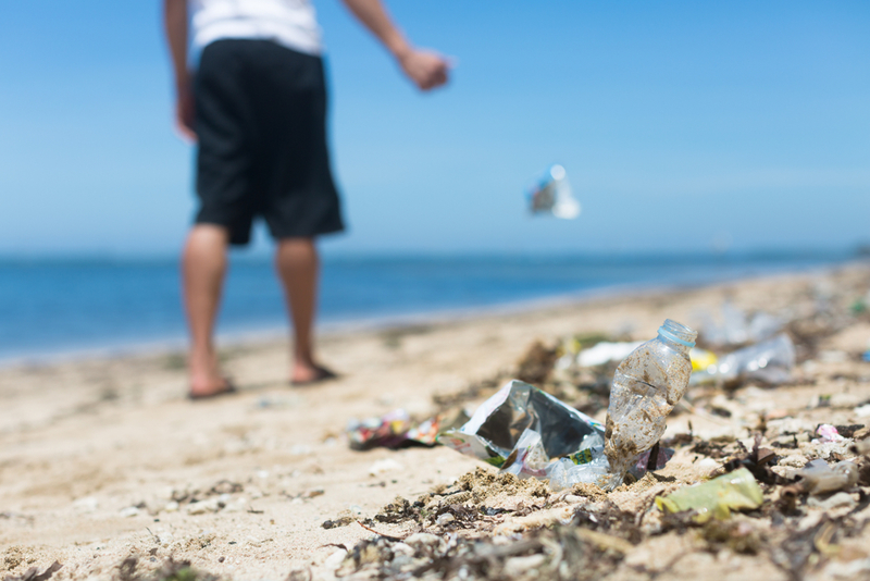 You're a Litterbug | Shutterstock Photo by christinarosepix