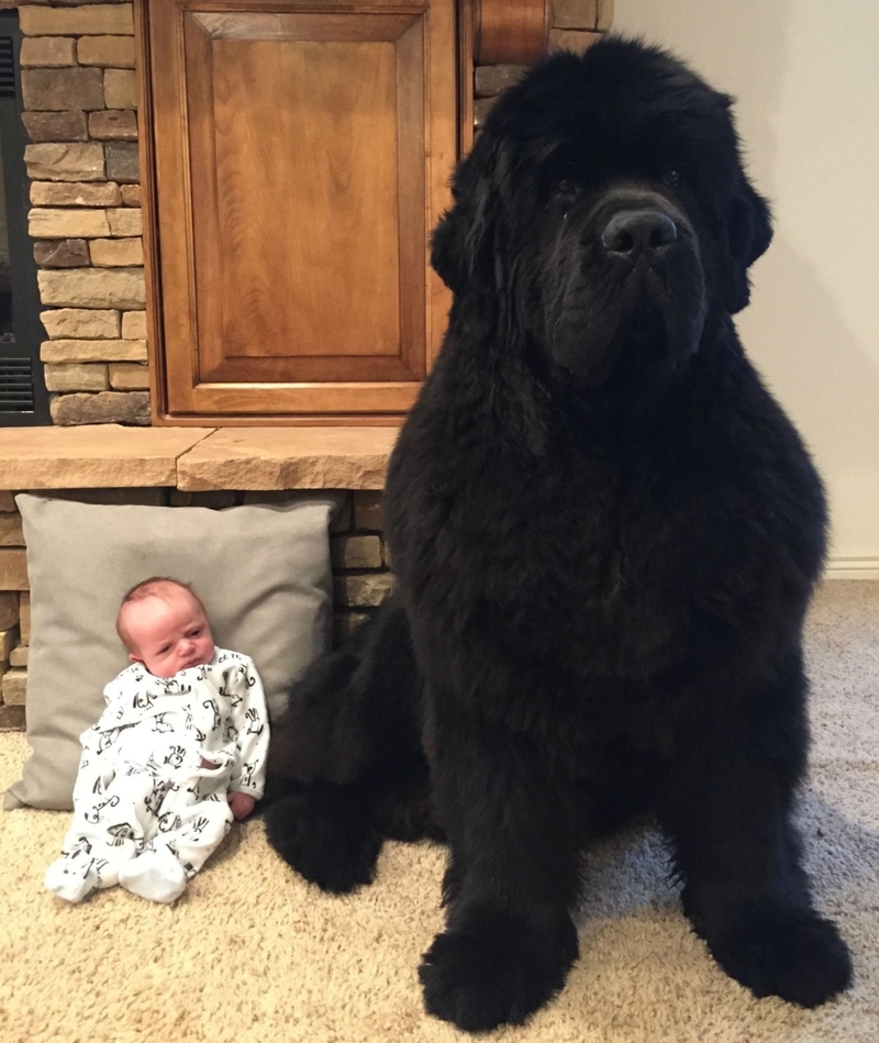 Big Boy and Baby Boy | Imgur.com/qpP1piR