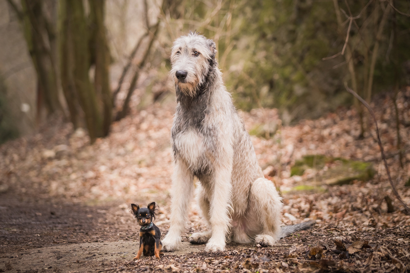 Best Buds | Shutterstock