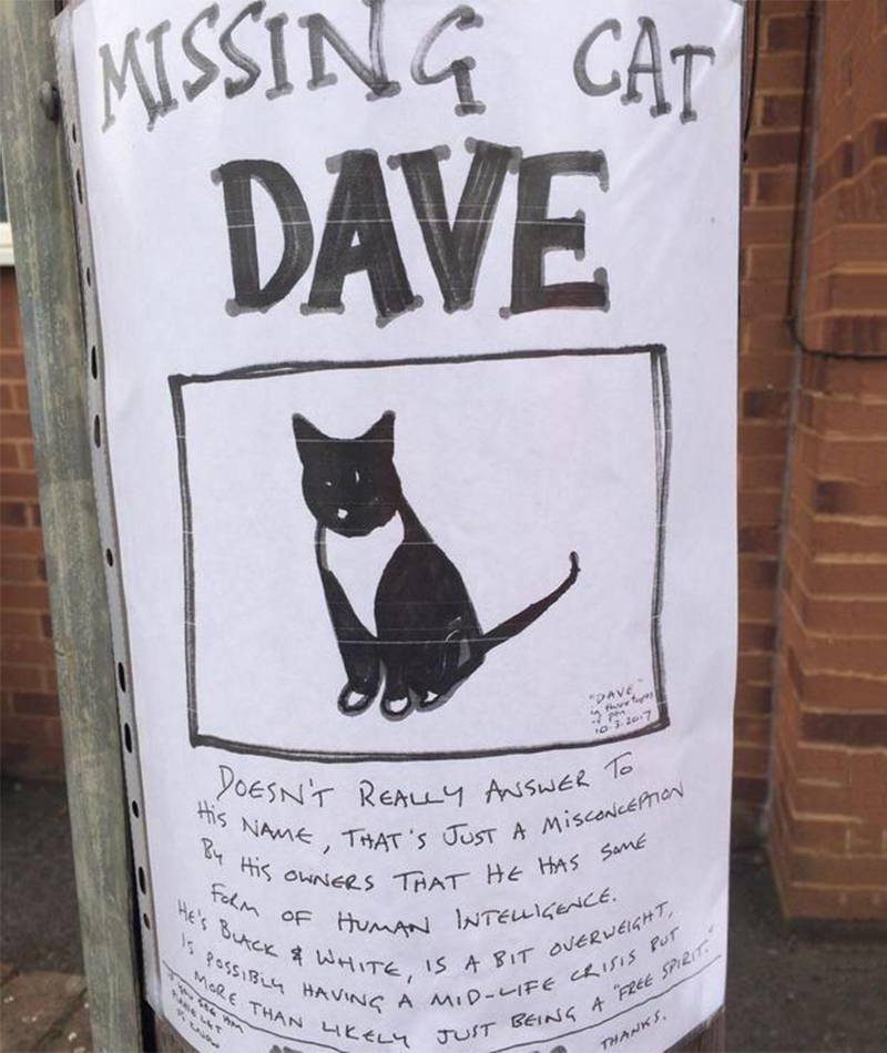 Dave’s Day Out | Reddit.com/Hotdiggitydaffodill