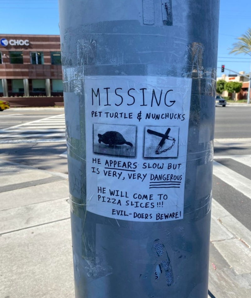 A Missing Ninja Turtle? | Reddit.com/hh2020hh