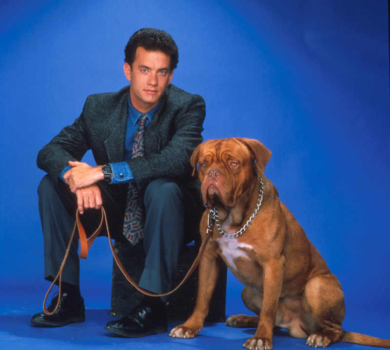 Turner & Hooch | MovieStillsDB Photo by Bane/Touchstone Pictures