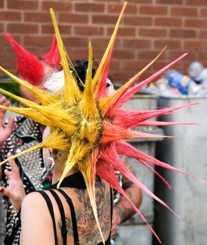 Spikes | Alamy Stock Photo by peter lawson 