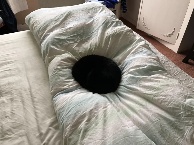 The Black Hole of Duvets | Reddit.com/woodgie2