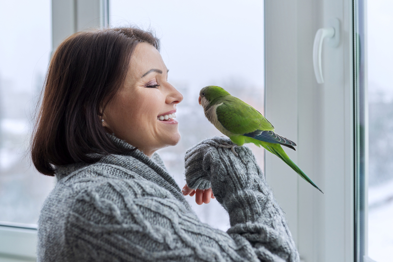 Talk to Your Pets | Shutterstock