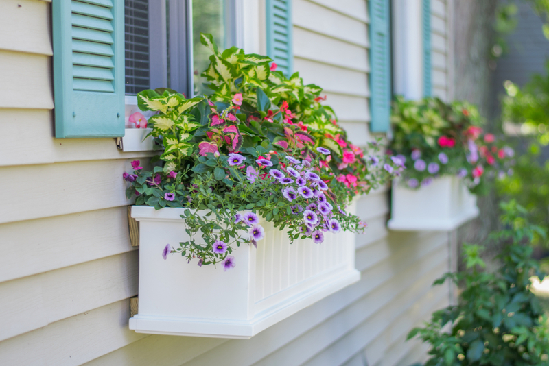 Place a Window Box | Shutterstock