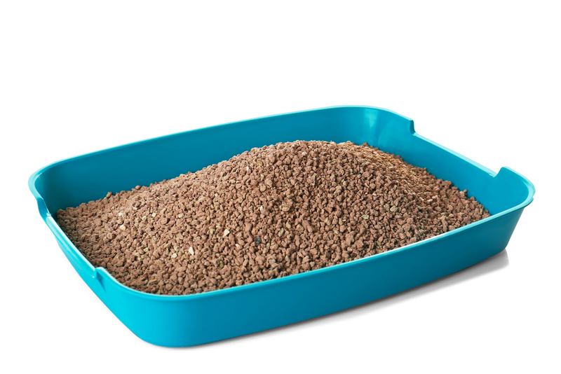 A Kitty Litter Box — No Kitten Needed | Africa Studio/Shutterstock