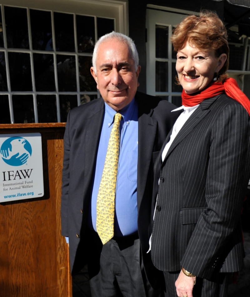 Ben Stein and Alexandra Denman | Getty Images Photo by Jerald Harris