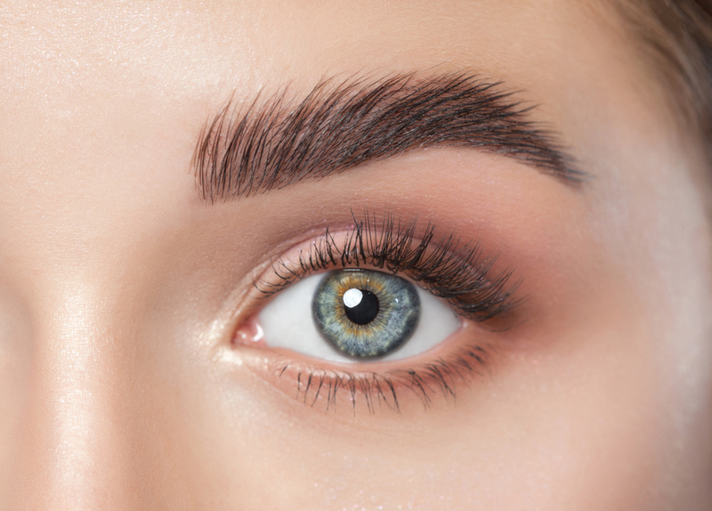 Keep Your Eyebrows on Fleek | Shutterstock