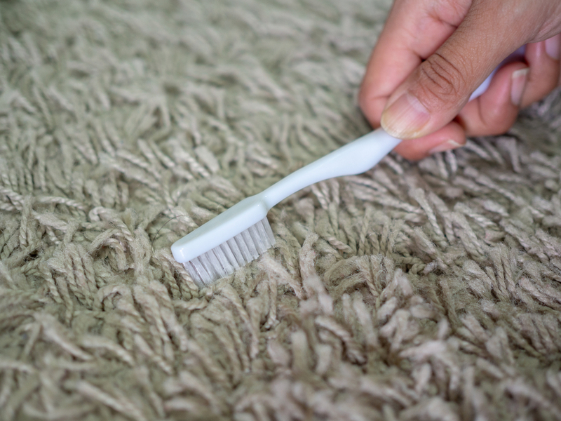 Removing Stains in the Carpet | Shutterstock