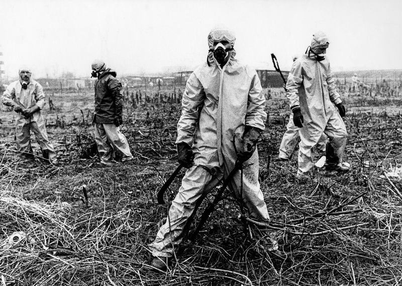 Seveso Disaster | Getty Images Photo by Marka/Universal Images Group