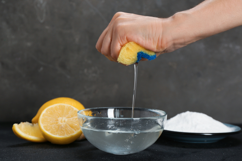 Grimy Sponges | Shutterstock