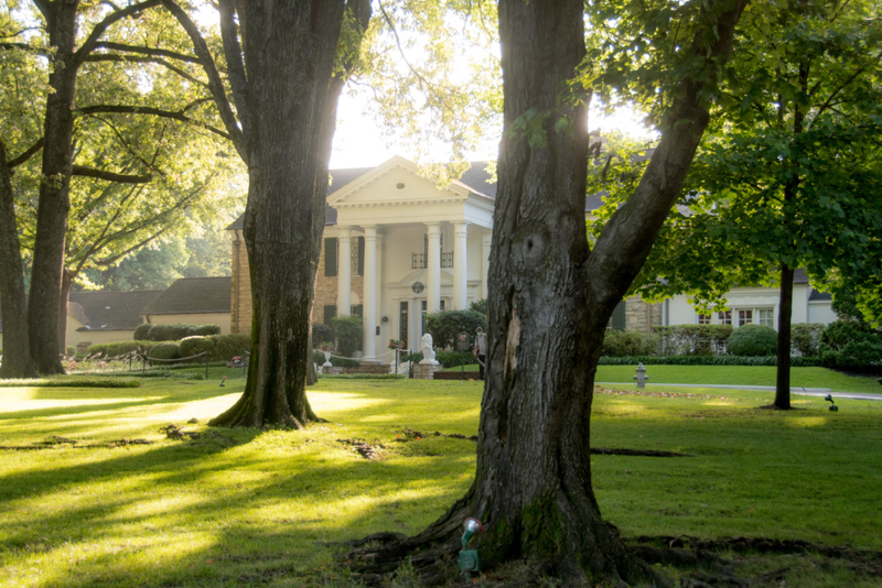 The Graceland Guesthouse | Alamy Stock Photo