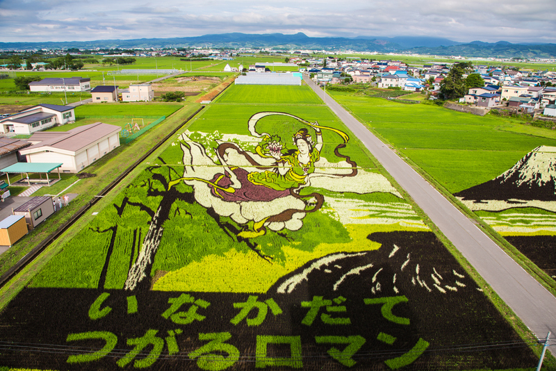 Rice Paddy Art | tipwam/Shutterstock