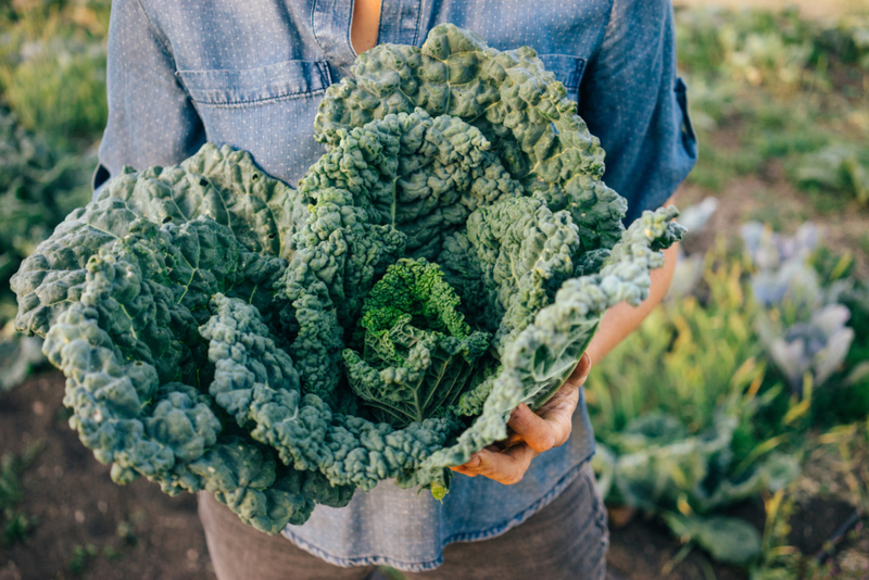 Massage Kale | Getty Images Photo by Ray Kachatorian