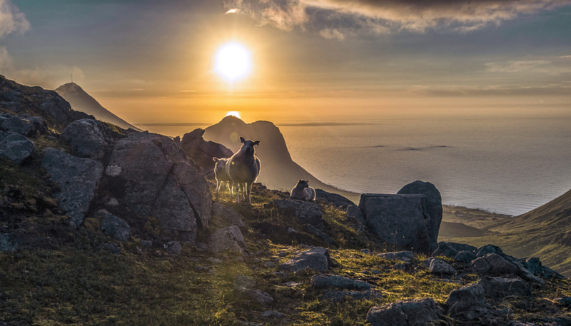 Enjoy the Midnight Sun | Getty Images Photo by steinliland