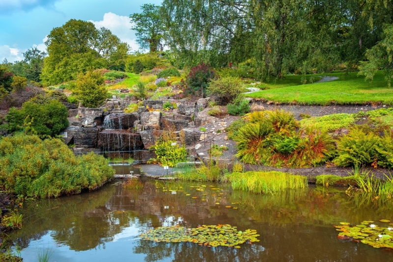 A Botanical Garden in the Arctic | Alamy Stock Photo